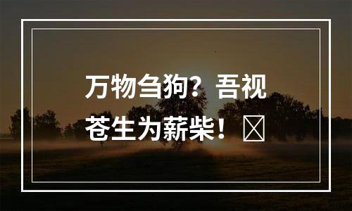 万物刍狗？吾视苍生为薪柴！​