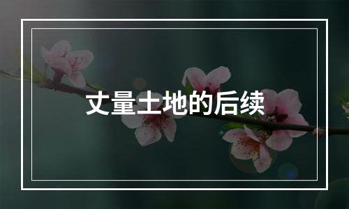 丈量土地的后续