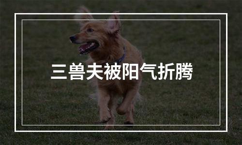三兽夫被阳气折腾
