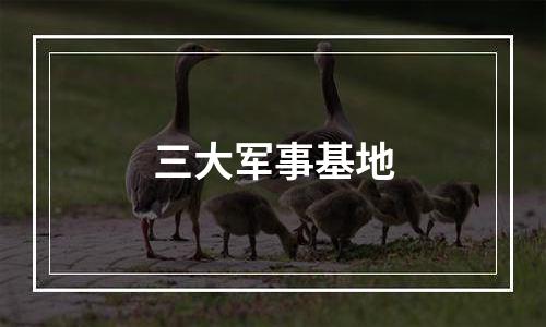 三大军事基地