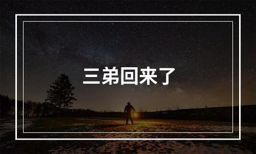 三弟回来了