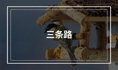 三条路