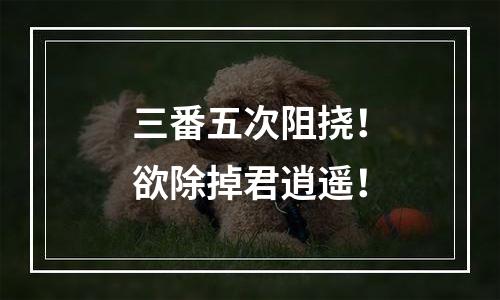 三番五次阻挠！欲除掉君逍遥！