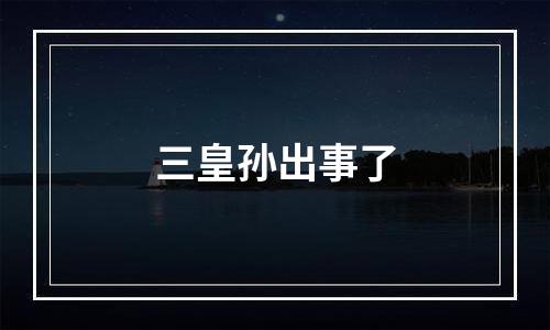 三皇孙出事了