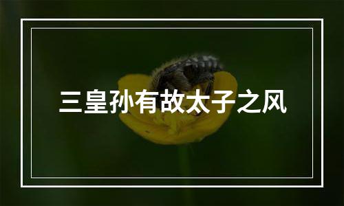 三皇孙有故太子之风