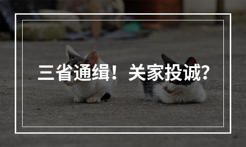 三省通缉！关家投诚？