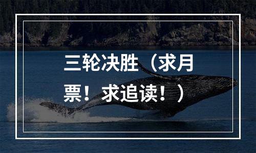 三轮决胜（求月票！求追读！）