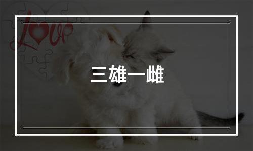 三雄一雌