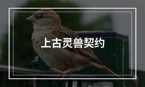 上古灵兽契约