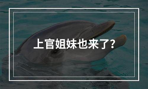 上官姐妹也来了？