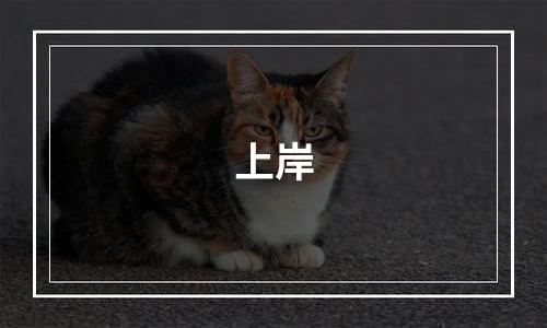 上岸