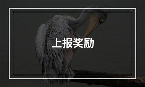上报奖励