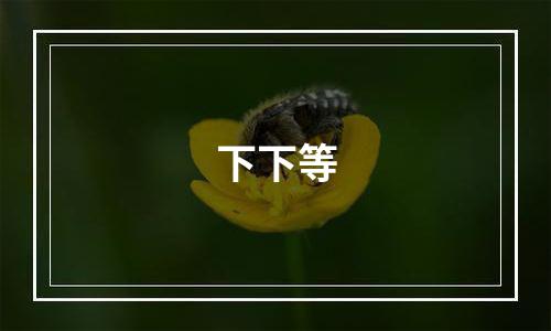 下下等
