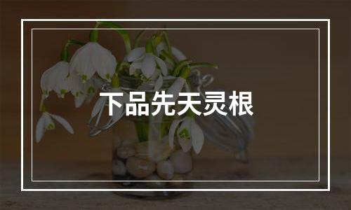 下品先天灵根