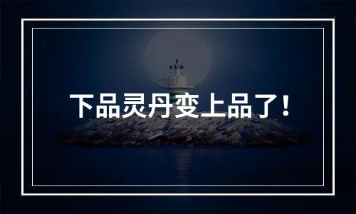 下品灵丹变上品了！