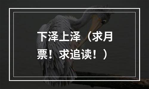 下泽上泽（求月票！求追读！）