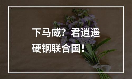 下马威？君逍遥硬钢联合国！