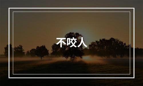 不咬人