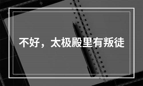 不好，太极殿里有叛徒