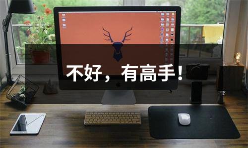 不好，有高手！