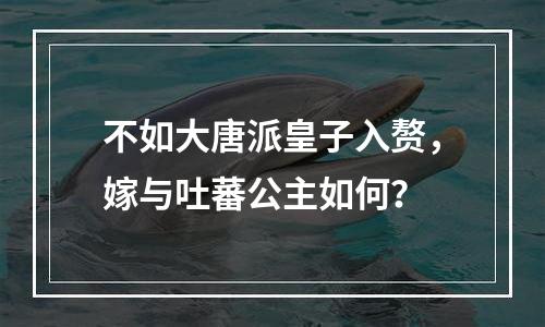 不如大唐派皇子入赘，嫁与吐蕃公主如何？