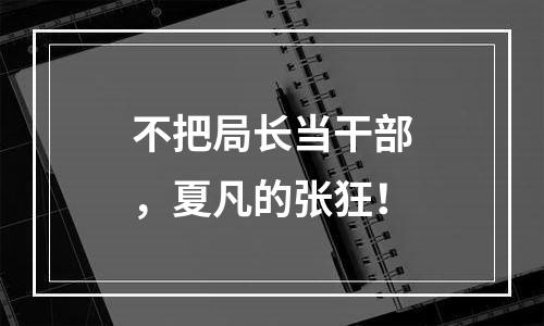 不把局长当干部，夏凡的张狂！