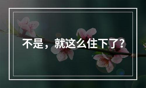 不是，就这么住下了？