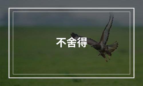 不舍得