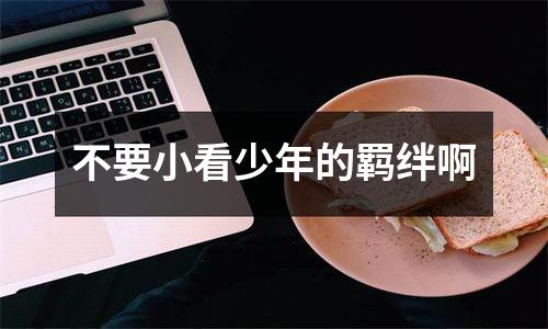 不要小看少年的羁绊啊
