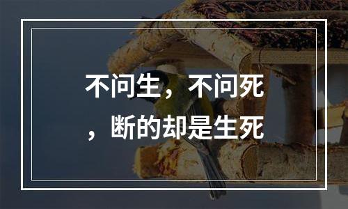 不问生，不问死，断的却是生死