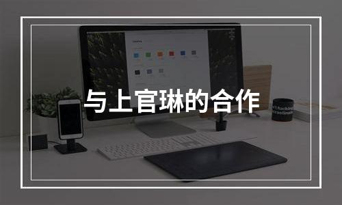 与上官琳的合作