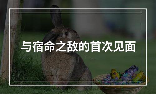 与宿命之敌的首次见面