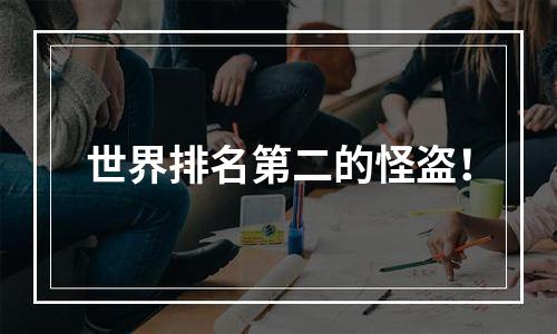 世界排名第二的怪盗！