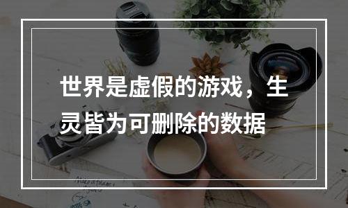 世界是虚假的游戏，生灵皆为可删除的数据