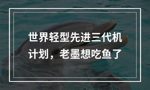 世界轻型先进三代机计划，老墨想吃鱼了
