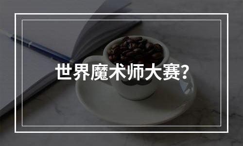 世界魔术师大赛？