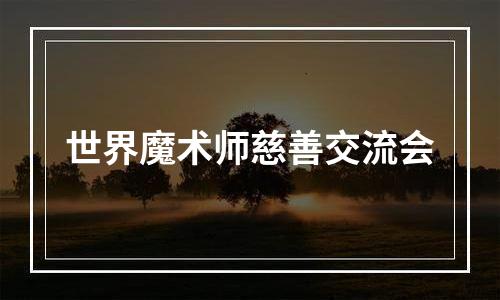世界魔术师慈善交流会