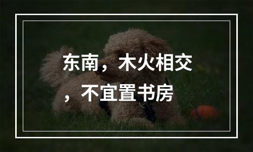 东南，木火相交，不宜置书房