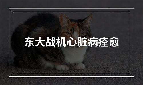 东大战机心脏病痊愈