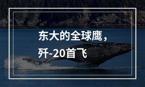 东大的全球鹰，歼-20首飞