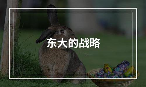 东大的战略