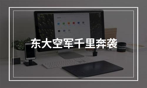 东大空军千里奔袭