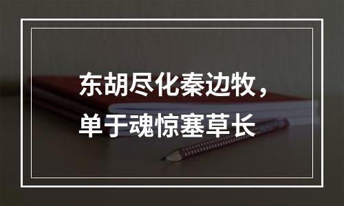 东胡尽化秦边牧，单于魂惊塞草长