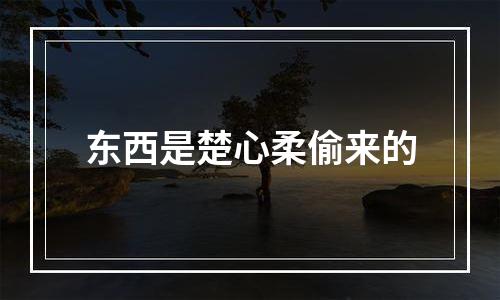 东西是楚心柔偷来的