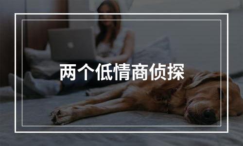 两个低情商侦探