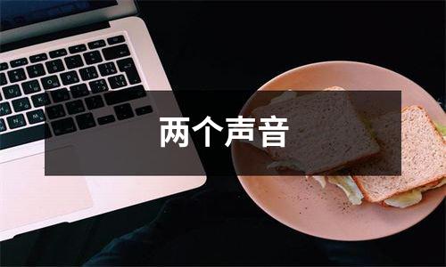 两个声音