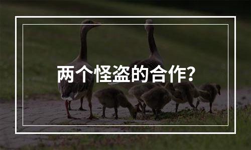 两个怪盗的合作？