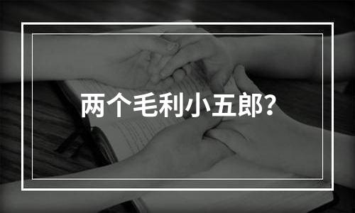 两个毛利小五郎？