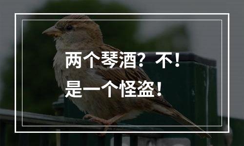 两个琴酒？不！是一个怪盗！
