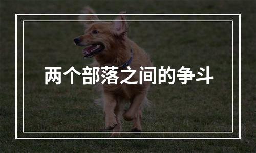 两个部落之间的争斗